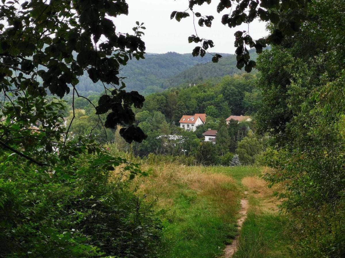 Haus Froehlich Apartment Michelstadt Luaran gambar